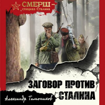 Заговор против Сталина - Александр Тамоников
