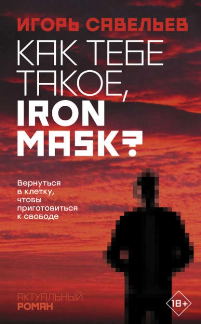 Аудиокнига Как тебе такое, Iron Mask?